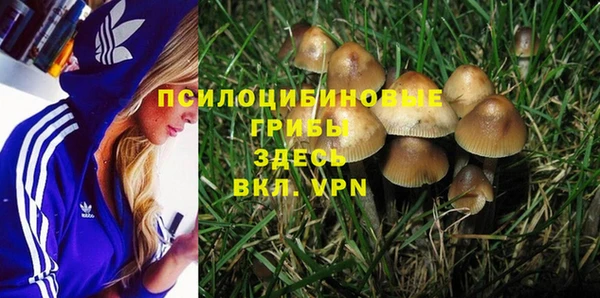 MDMA Белокуриха